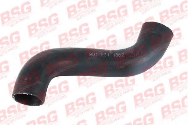 BSG60720005 BSG Шланги системи охолодження