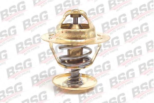 Купити BSG30125004 BSG Термостат в корпусі