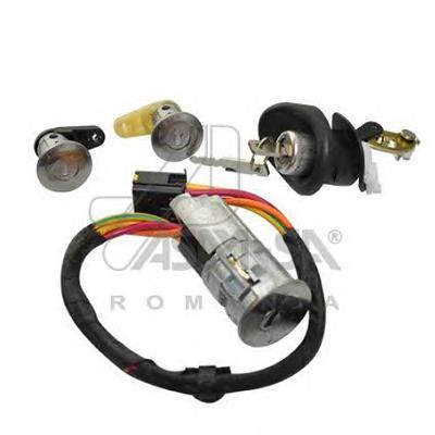 6001549589 Renault (RVI) Серцевина замка, комплект