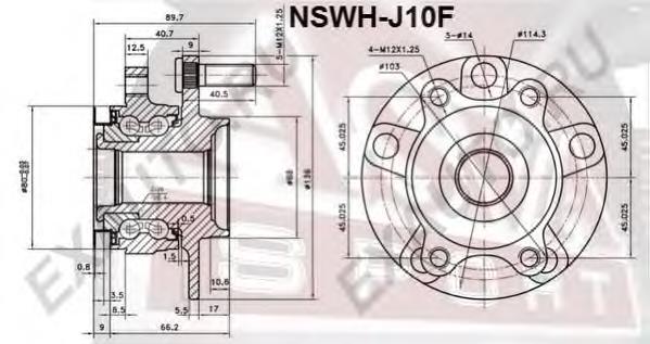 NSWHJ10F Asva Маточина (передня)