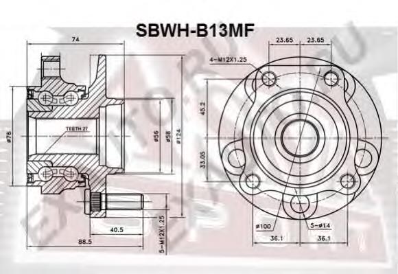 SBWHB13MF Asva Маточина (передня)