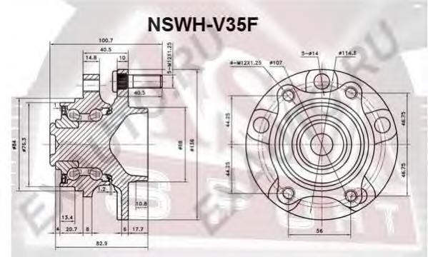 NSWHV35F Asva Маточина (передня)