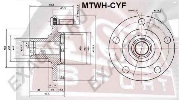 MTWHCYF Asva Маточина (передня)