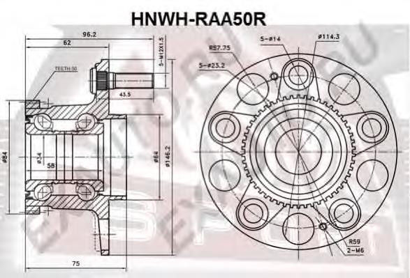 Маточина задня HNWHRAA50R Asva