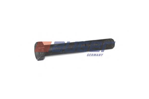 Болт кріплення заднього стабілізатора Sampa Otomotiv‏ 102448 ціна, від 3.35 USD