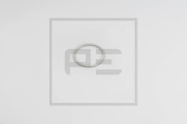 Прокладка натягувача ланцюга ГРМ 0829G9 Peugeot/Citroen