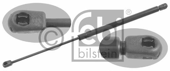 Амортизатор кришки багажника Magneti Marelli 430719034300