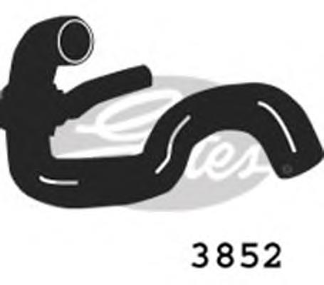 9128629 Opel Шланг/патрубок радіатора охолодження, нижній