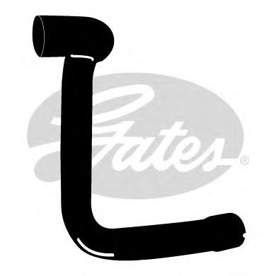 Шланг/патрубок радіатора охолодження, нижній Gates 3964 ціна, від 7.70 USD