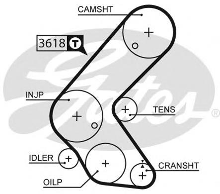 Ремінь ГРМ 5563XS Gates
