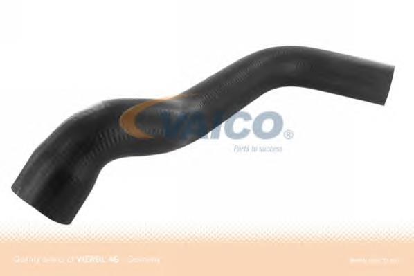 Шланг/патрубок радіатора охолодження, нижній Thermotec DWM075TT