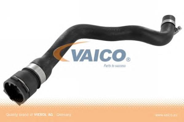  Thermotec DWB291TT ціна, від 19.90 USD