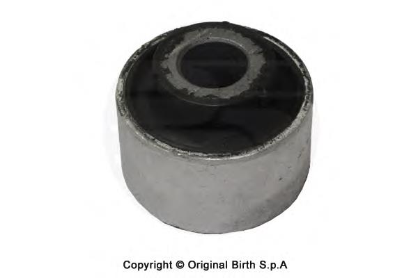 2011 Birth Сайлентблок переднього нижнього важеля