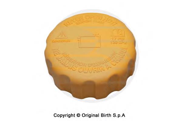 Кришка розширювального бачка 8825 Birth