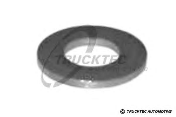 Кільце форсунки 0210079 Trucktec