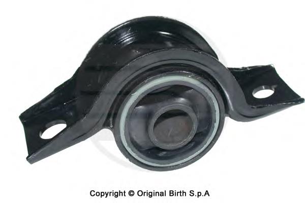2494 Birth 