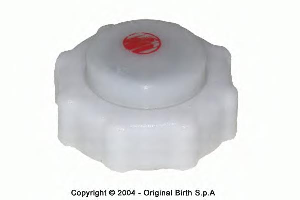 8295 Birth Пробка розширювального бачка