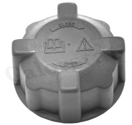 Купити RC0024 Vernet Кришка розширювального бачка