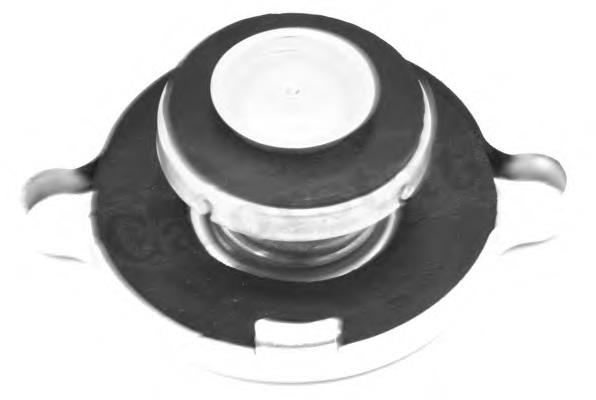 Купити RC0056 Vernet Кришка радіатора