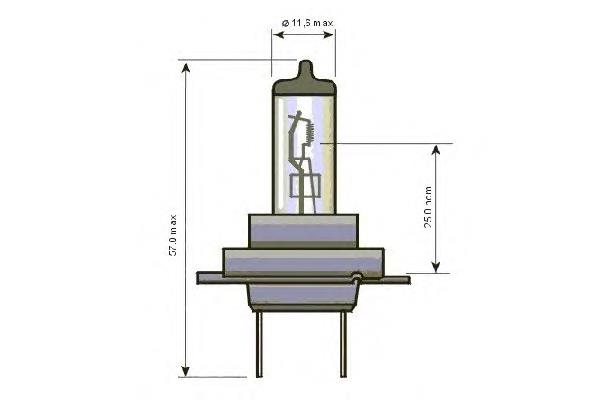 202174 SCT Лампочка галогенна