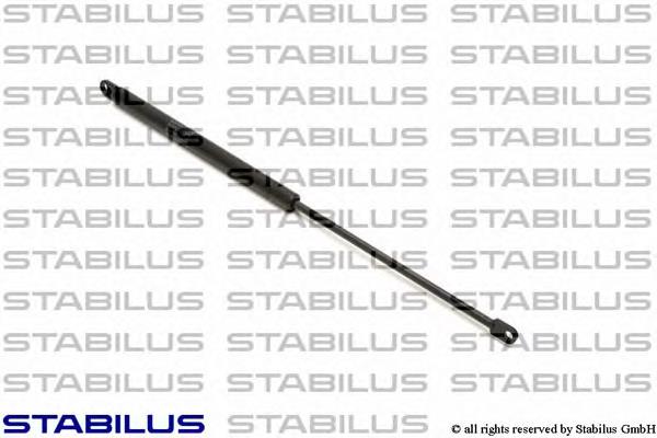 51248103180 BMW Амортизатор кришки багажника / двері 3/5-ї задньої