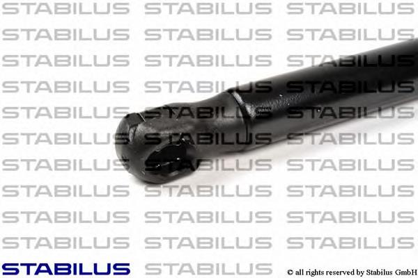 Купити AG51175 Optimal Амортизатор двері багажника