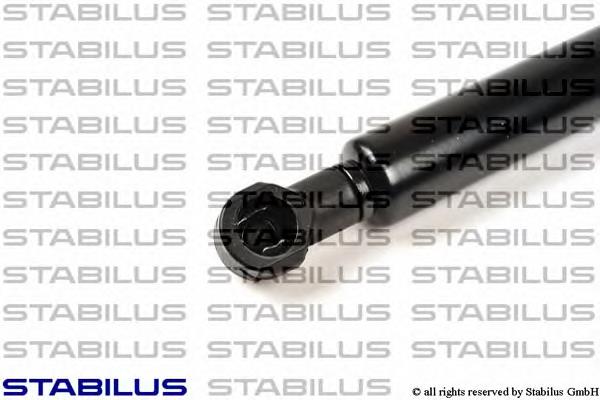 430719033600 Magneti Marelli Амортизатор кришки багажника / двері 3/5-ї задньої