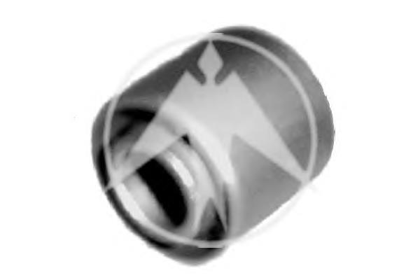 Сайлентблок переднього важеля 7700104152 Renault (RVI)