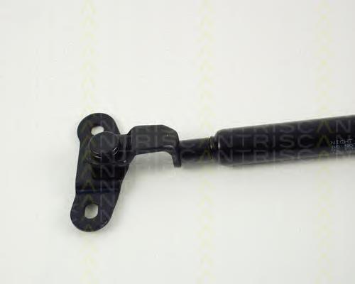 Купити Амортизатор багажника Toyota Corolla  E9