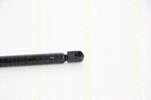 Амортизатор двері задньої Triscan 871029242 ціна, від 8.45 USD