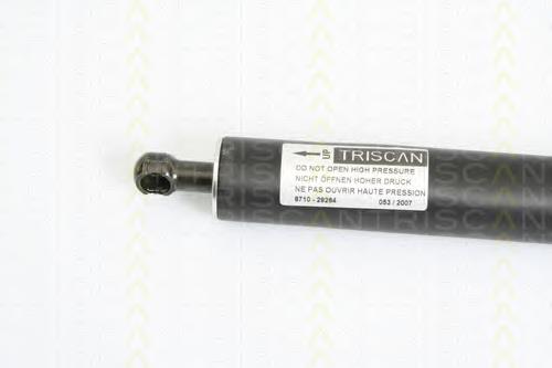 Амортизатор кришки багажника Triscan 871029264