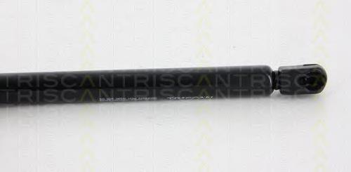 Амортизатор багажника 871066206 Triscan