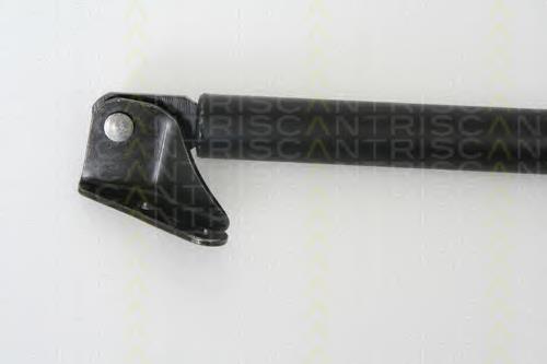 Амортизатор багажника 179753 Febi