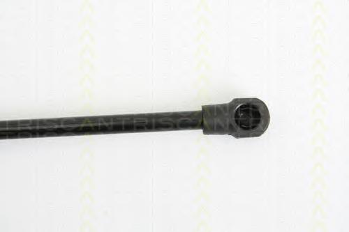Амортизатор кришки багажника Triscan 871028232