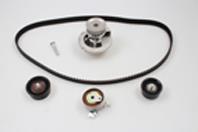 Комплект ГРМ 3007271 Metelli