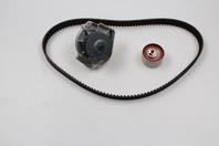 Комплект ГРМ 3008661 Metelli