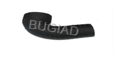 Купити 87600 Bugiad Патрубок повітряний, вихід з турбіни (наддув)