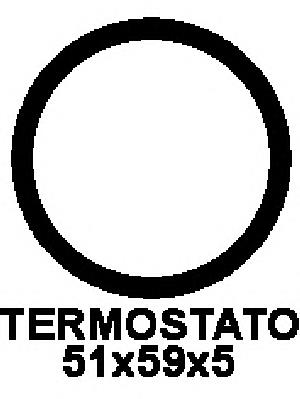 Прокладка корпусу термостата General Motors 10137488