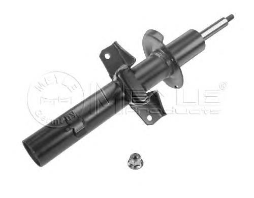 Купити RS312939 Raiso Стійка амортизатора задня