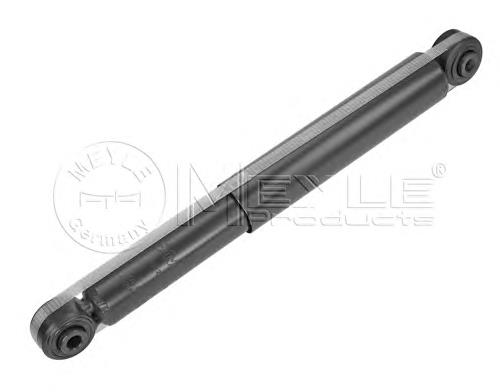 Купити RS317405 Raiso Стійка амортизатора задня