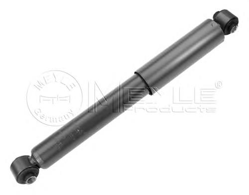 Купити RS280435 Raiso Стійка амортизатора задня