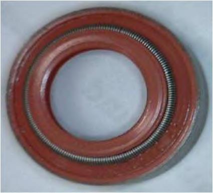 Купити 40101874 Iveco Сальник клапана