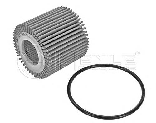 Купити 30143220005 Meyle Фільтр очищення масла відцентровий