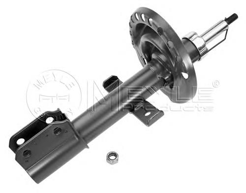 Амортизатор передній 8200127279 Renault (RVI)