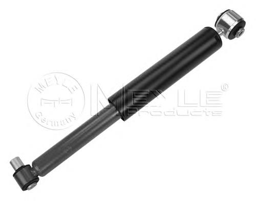 Купити RS290739 Raiso Стійка амортизатора задня