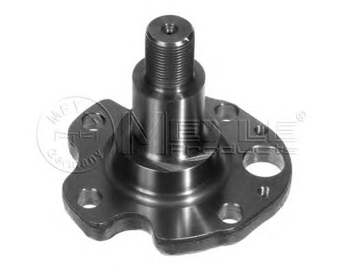 Цапфа - поворотний кулак задній Meyle 1005010029 ціна, від 14.58 USD