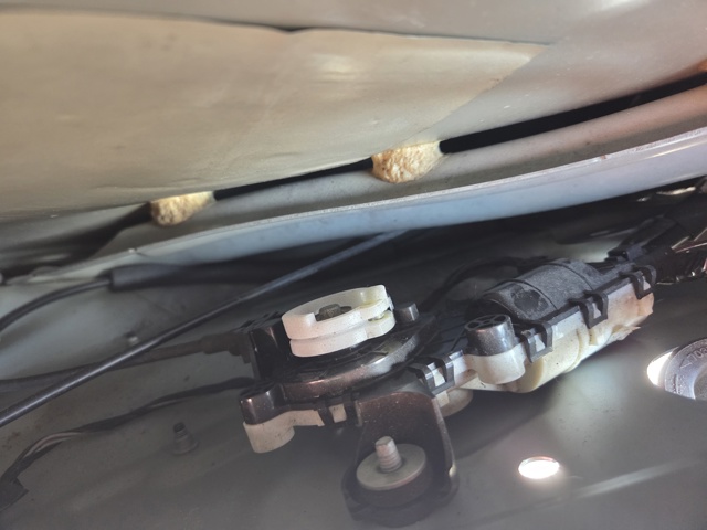 Мотор-привід відкр/закр. замка багажника/двері 3/5-ї 103448500A TESLA