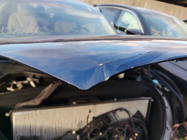 Капот 1069531E0C TESLA