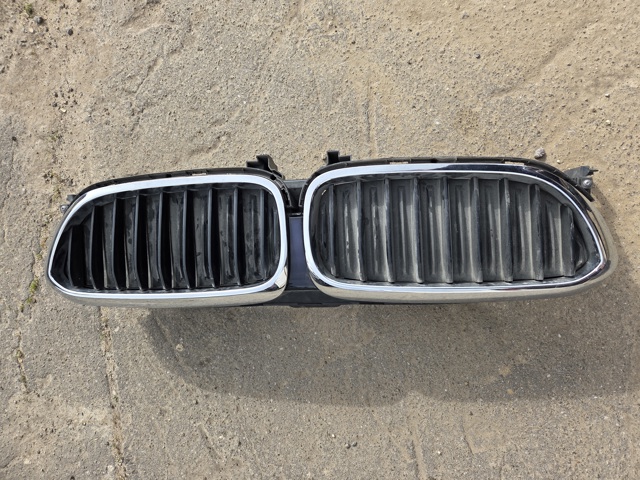 Решітка 51747497279 BMW