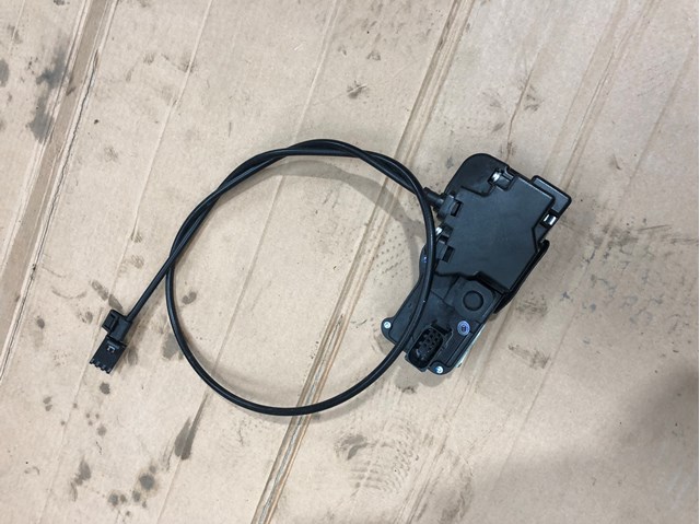Замок задніх дверей, лівих 600891100D Tesla Model